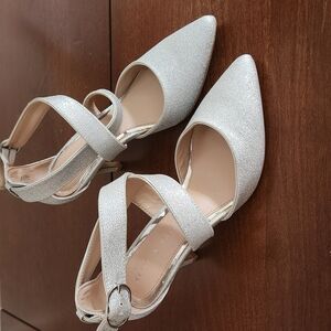 Elegant Silver Women's Shoes